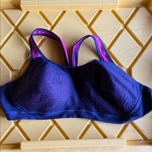 Champion Navy and Pink Sports Bra